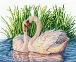 (image for) Pair Of Swans